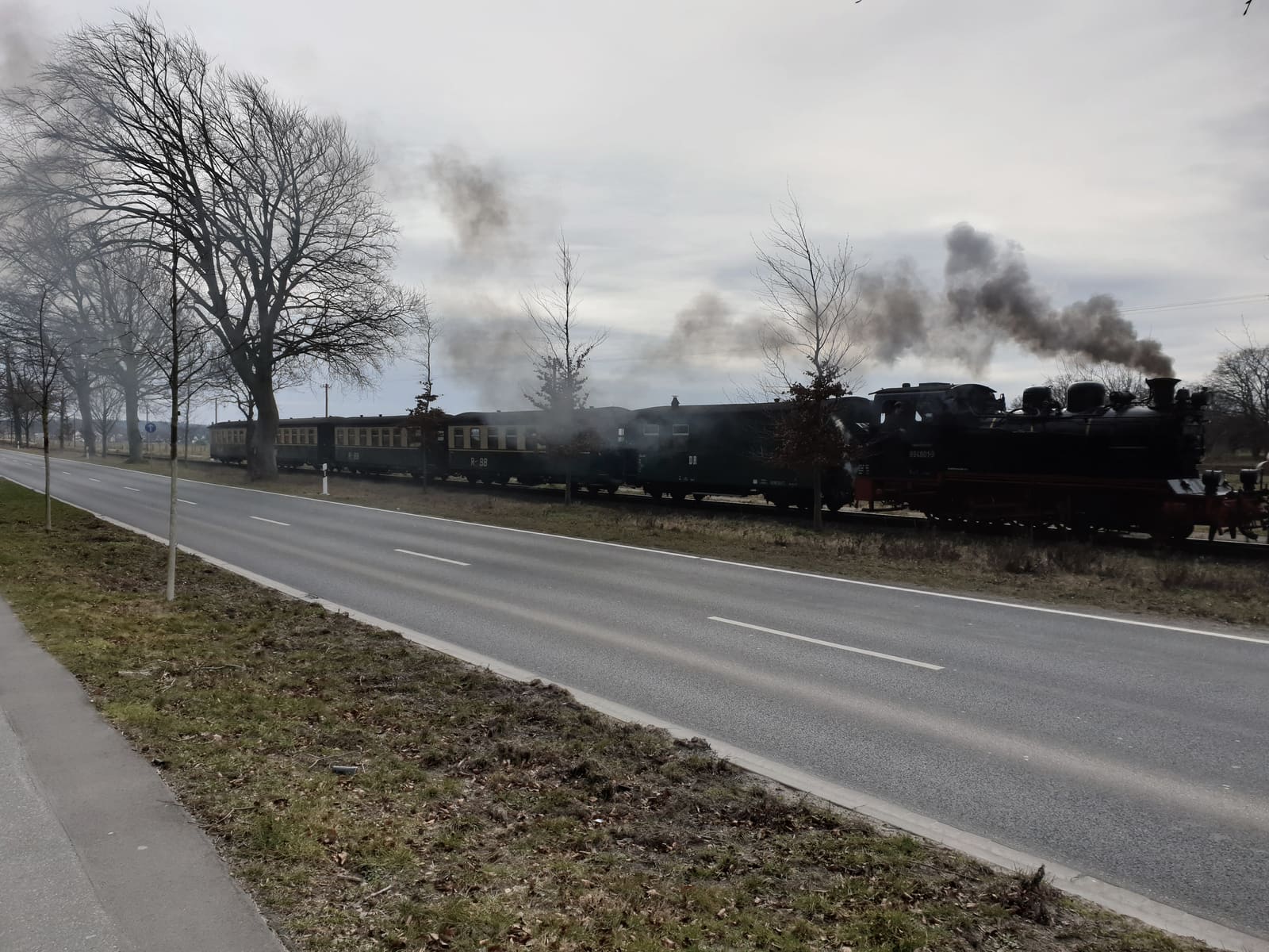 Die Dampflok des Rasenden Roland mit ihren Wagen auf der Strecke zwischen Baabe und Sellin, daneben eine Allee im Winter.